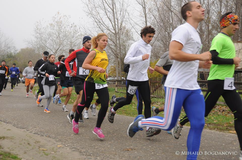 11. Eko-Mačak polumaraton, Novi Sad (24.11.2013.) – rezultati